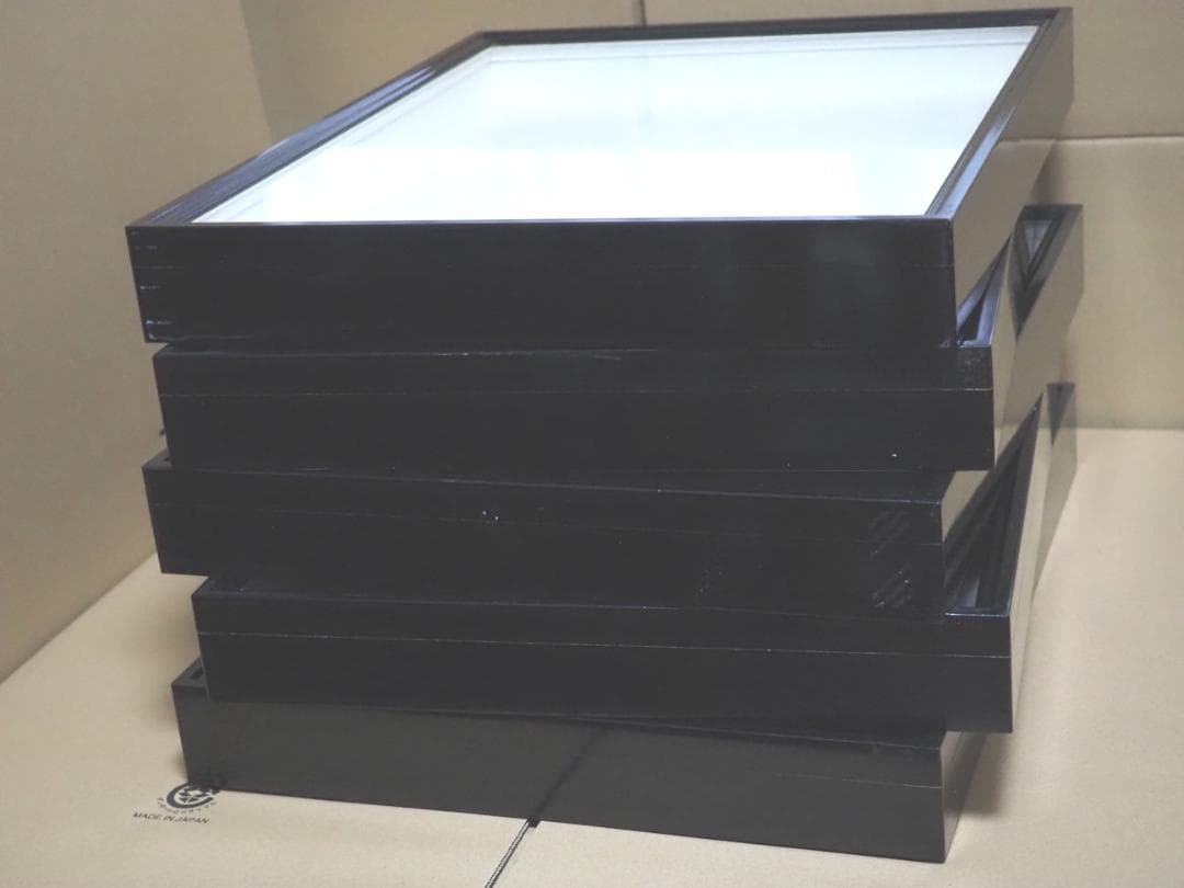 標本箱 ドイツ箱　大型　5個セット