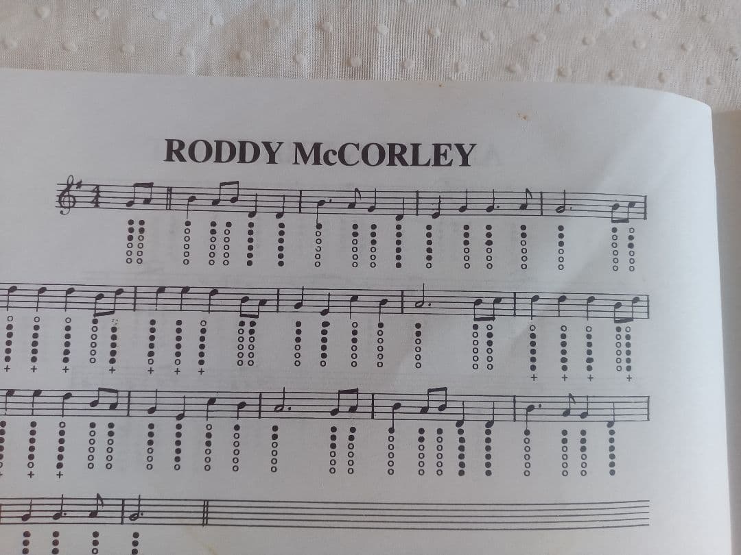 Irish Whistle ティンホイッスル教則本(楽譜27曲)CD1枚セット - メルカリ