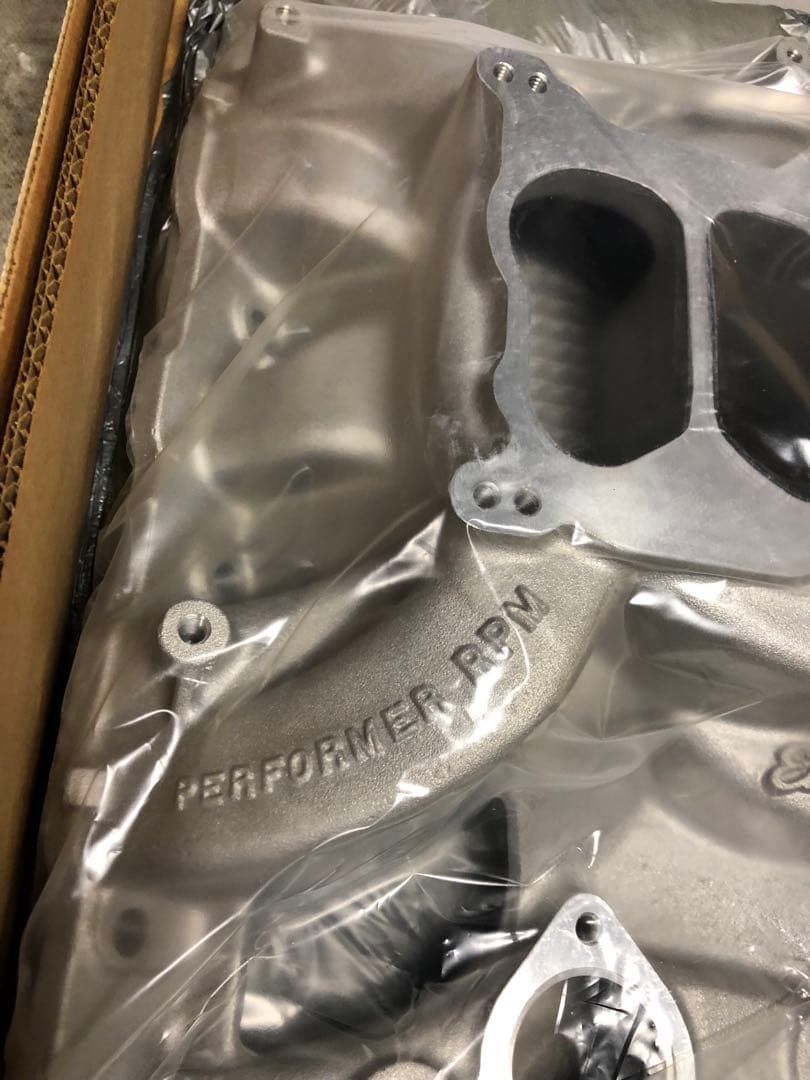 トランザム エーデルブロックインテークイーグルマスク、ビッグマスク