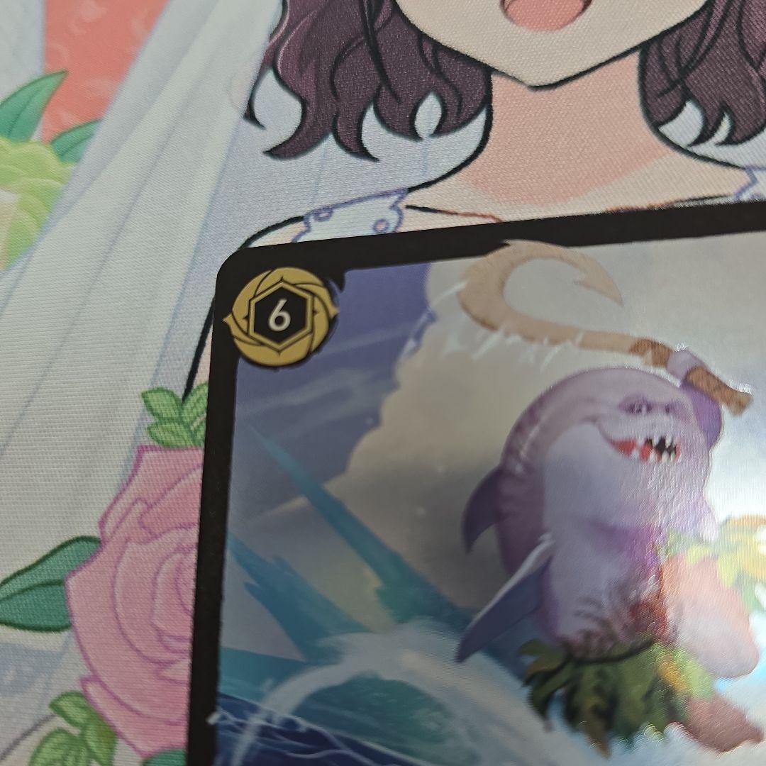 ロルカナ　サメマウイ　フォイル