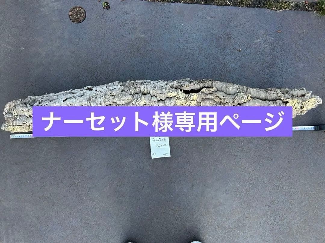 ＰＬ-0106-Ｌ5 1127-Ｌ2 0105-ＬＬ1 SCE-48XEL3712SS6LP - Saginaw Control and Engineering