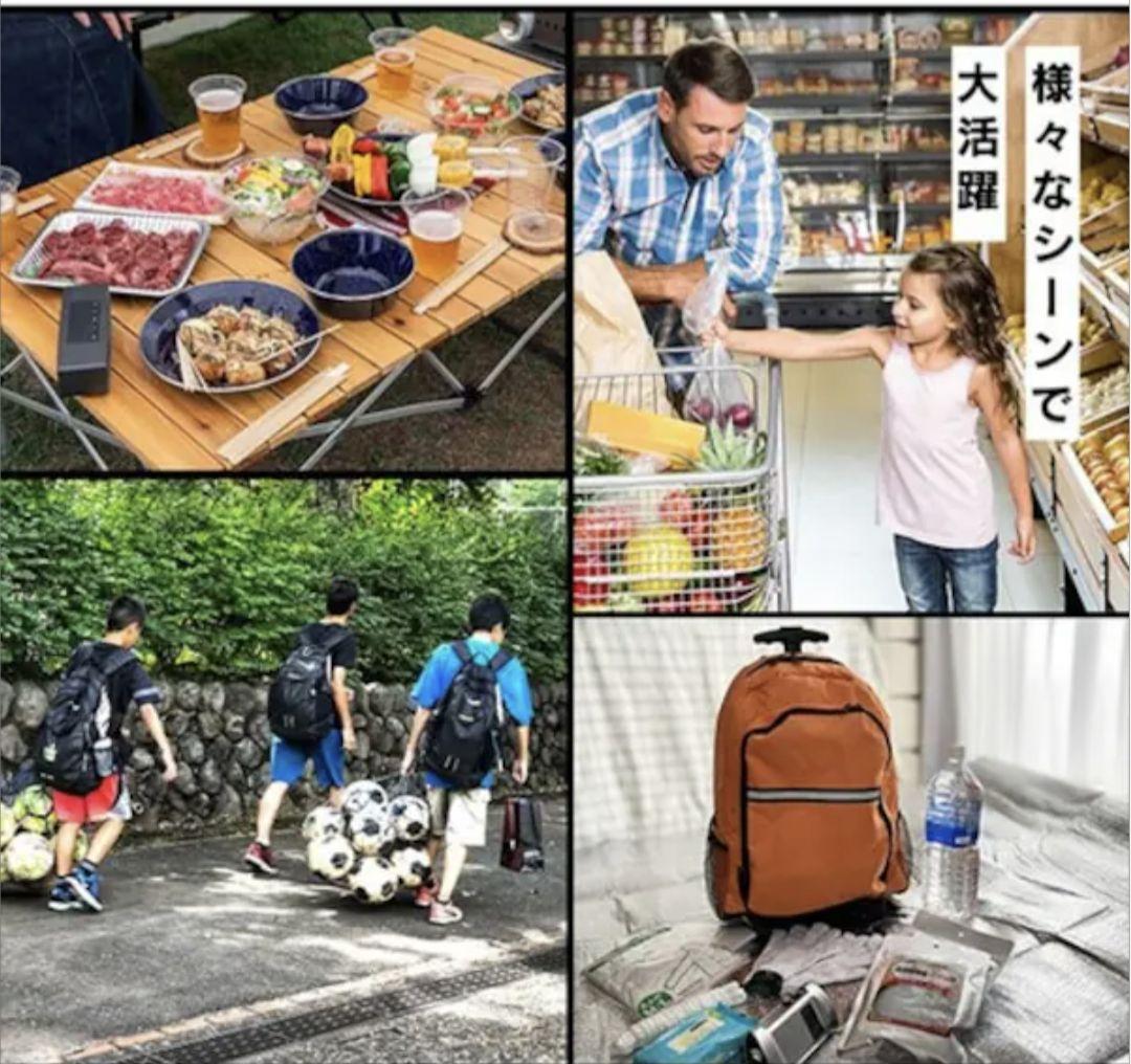 IRIS OHYAMA ポータブル冷蔵冷凍庫 IPD-2A-B 20L