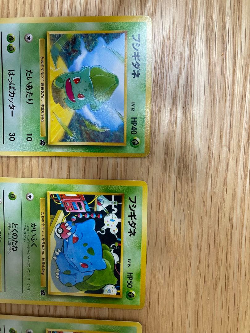 フシギダネ・フシギソウ 旧裏ポケモンカード6枚セット　イントロパック