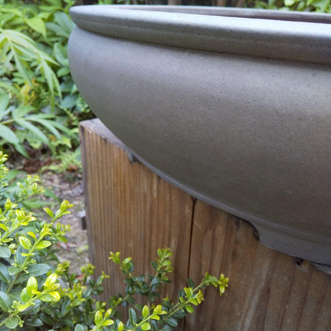 常滑焼 盆栽鉢 松柏類 大品『松下陶園』泥鉢 泥物 外縁 小判 隅入 袋形