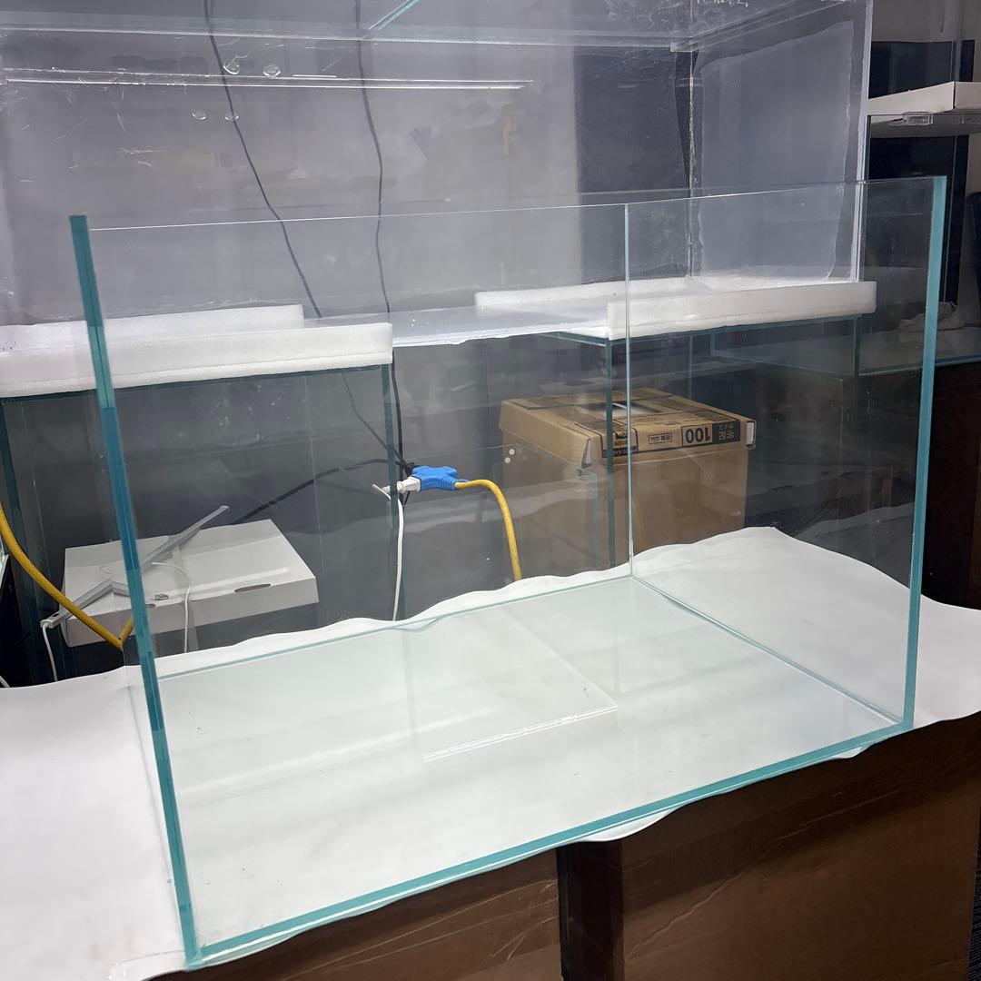 水槽 60CM 損傷品特売！！W60×D45×H45 厚み8mm 水槽 60CM 損傷品