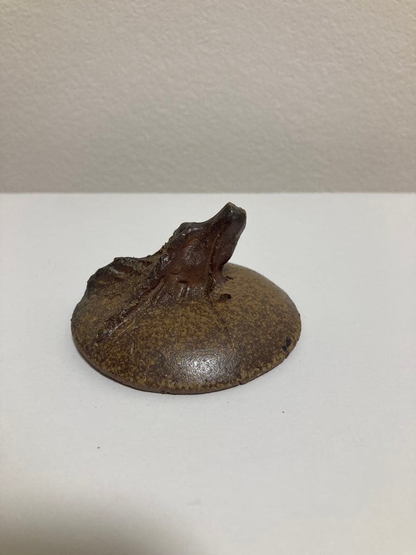 ☆ 激レア 備前焼 宝瓶 登り窯 龍 手びねり 急須 桐箱付き