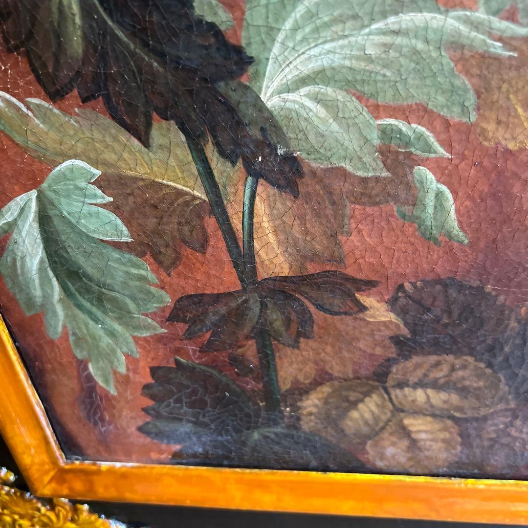 Montanari Papagallo 油彩画 50x70 cm