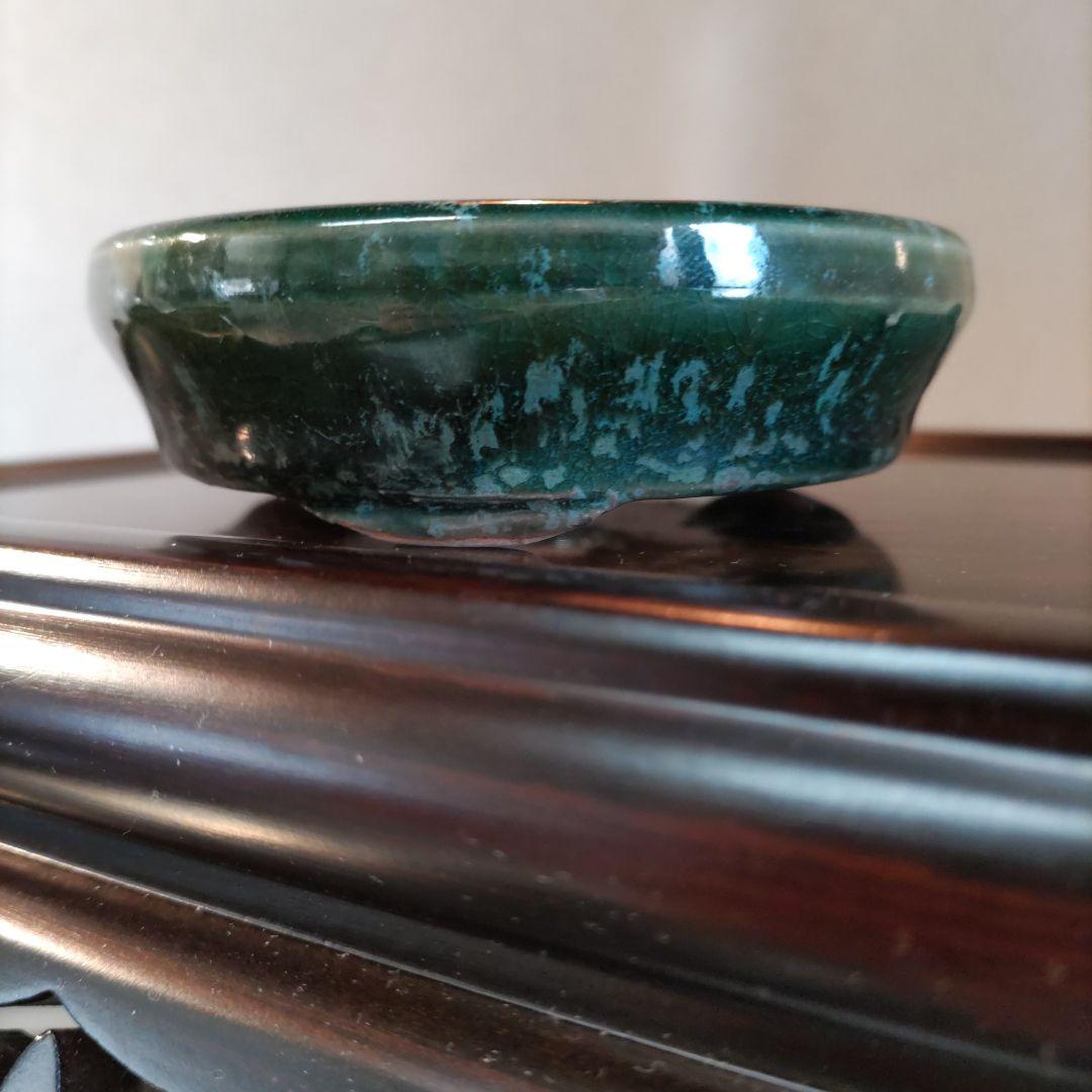 義村秀峰の豆鉢、未使用鉢、常滑焼、盆栽鉢、皿鉢、植木鉢、ミニ