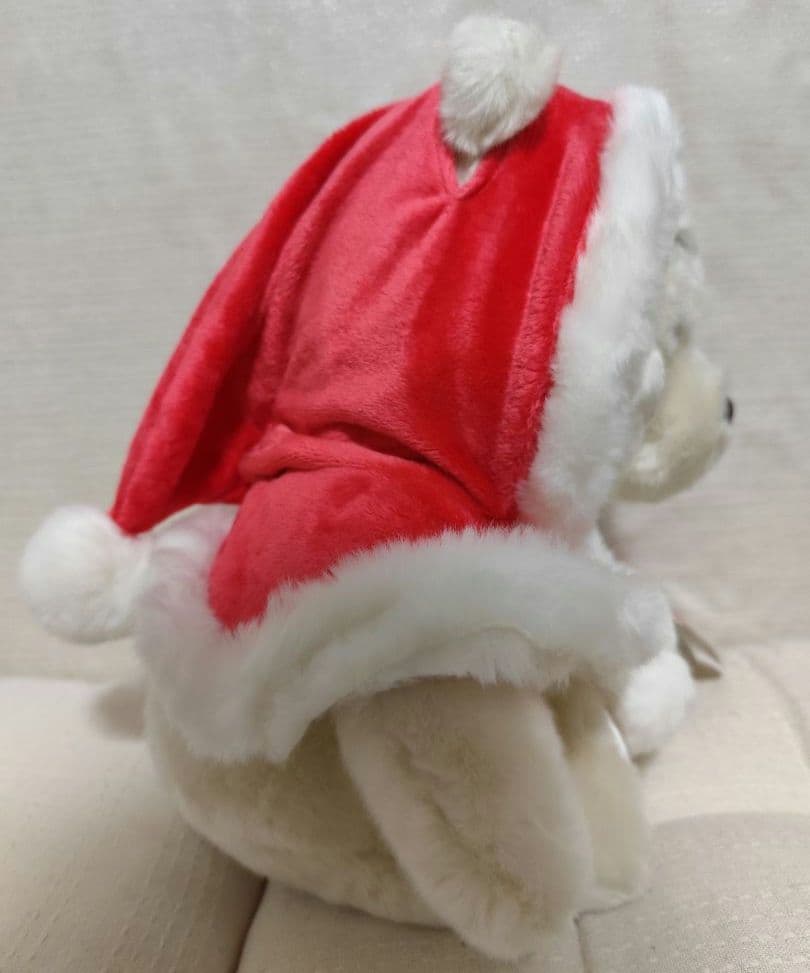 Disney Store くまのプーさん　サンタクロース　クリスマス　ぬいぐるみ