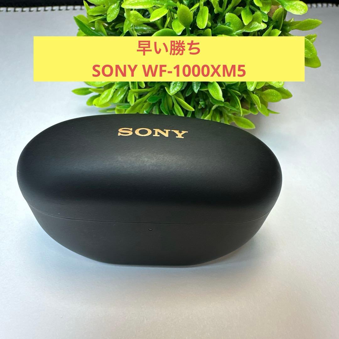 SONY WF-1000XM5 充電ケースのみ SONY（ソニー） 純正 WF-1000XM5 付属 充電ケース ブラック
