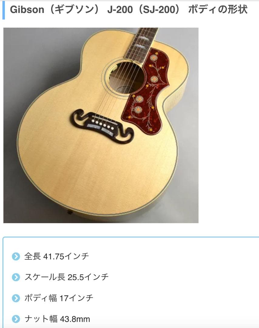 【新品、未使用】THE NORTH FACE ギターケース　150個限定