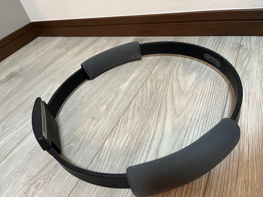 Nintendo Switch 本体 チップとデールケースリングフィット付き