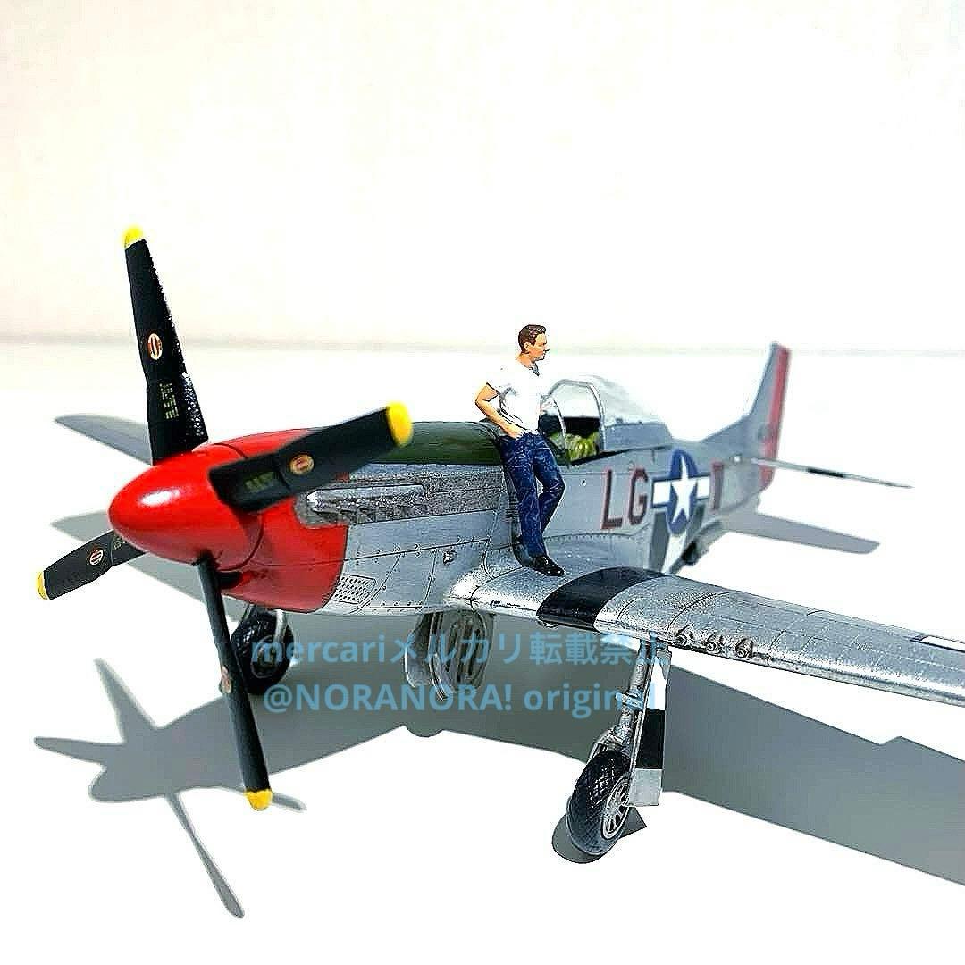 1/48 トップガンマーヴェリック仕様 P51マスタング 完成品