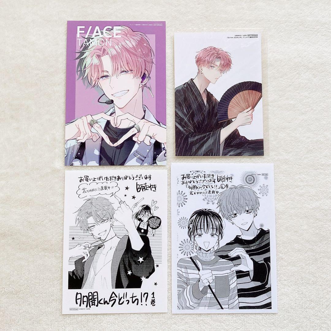 多聞くん今どっち!? 1巻アニメイト特典イラストカード 花とゆめ通販