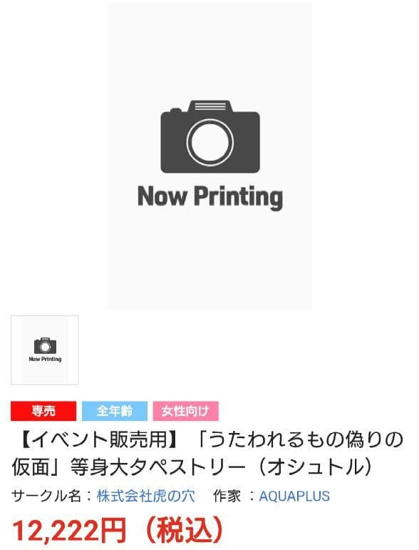 【専用】うたわれるもの偽りの仮面　等身大タペストリー　ハク／オシュトル　希少