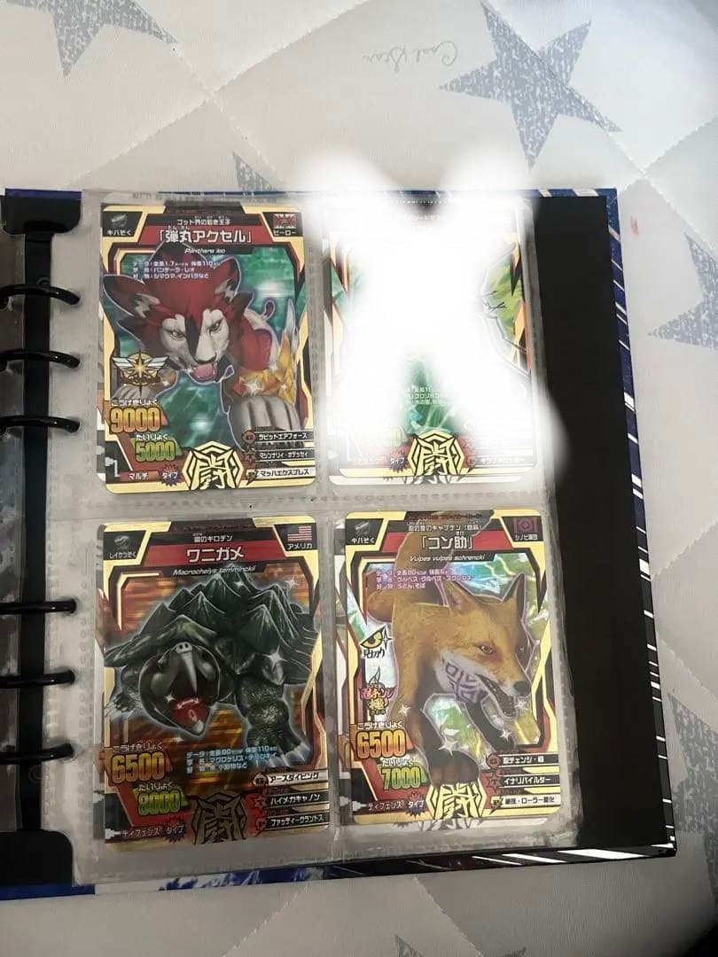 アニマルカイザー　まとめ売り