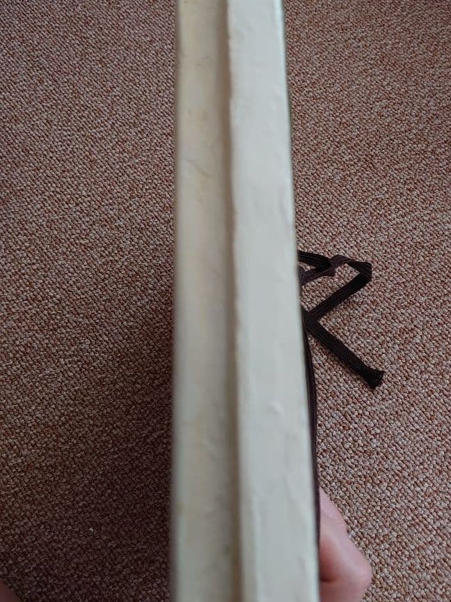 新品）諏訪憲ニさん作 ネコ 新品）諏訪憲ニさん作 ネコ キャバリア ルビー