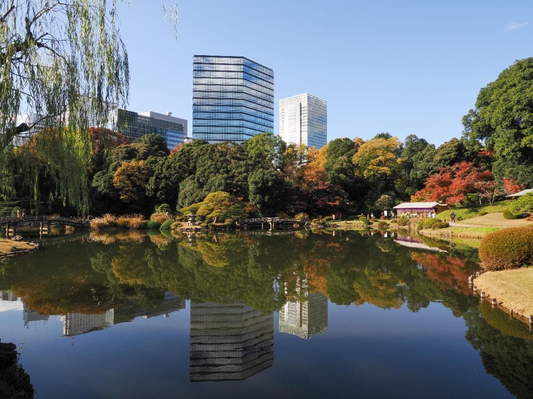 M.ZUIKO DIGITAL ED 9-18mm F4.0-5.6 作例あり