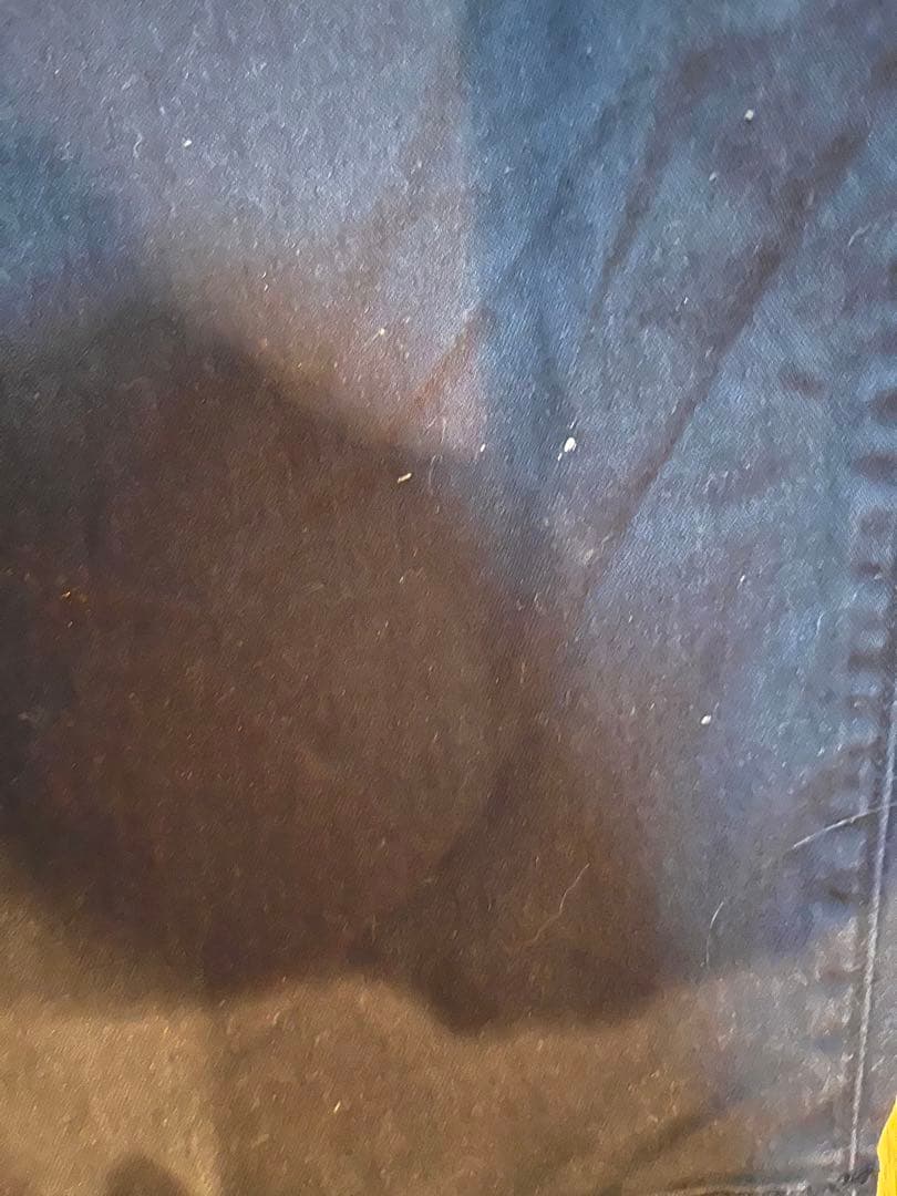 NIKESB スケートボード カバーオール