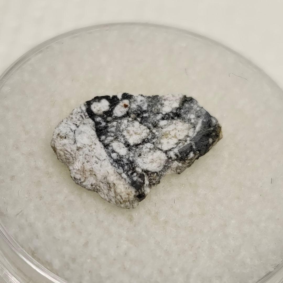 月隕石 NWA5000 320mg アダムホープ氏サインカード付き NO.399 月隕石 NWA5000 320mg アダムホープ氏サインカード付き NO.399 - メルカリ