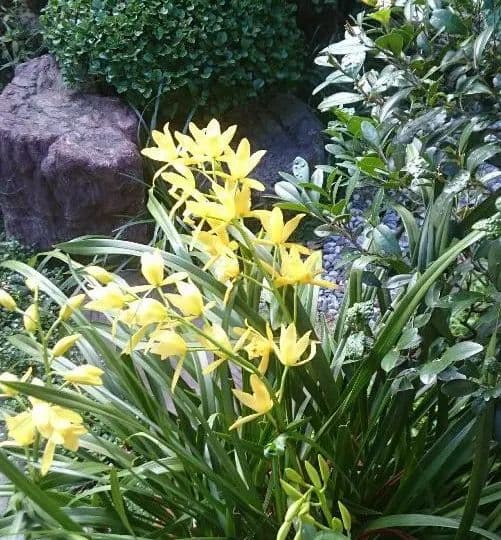 [古備前]　　徳　利