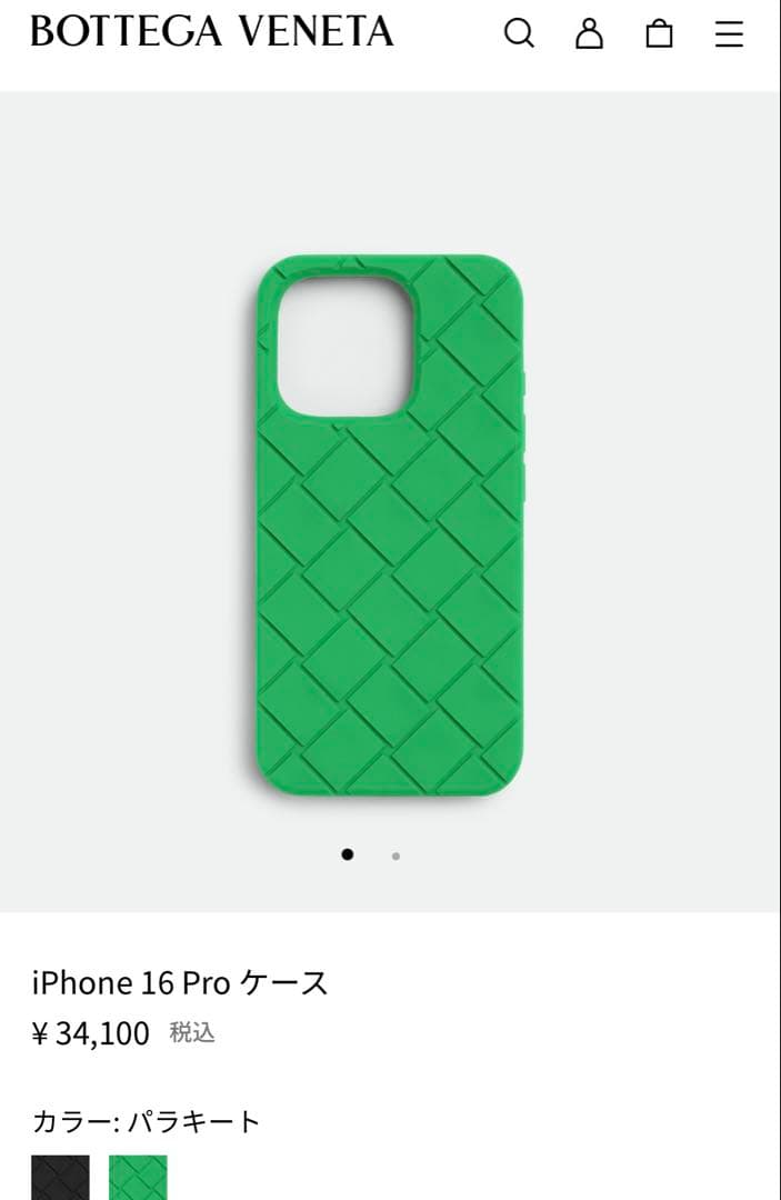 新品未使用 BOTTEGA iPhone 16 Pro ケース IPhone 16 Pro Max Case in Parakeet | Bottega Veneta US