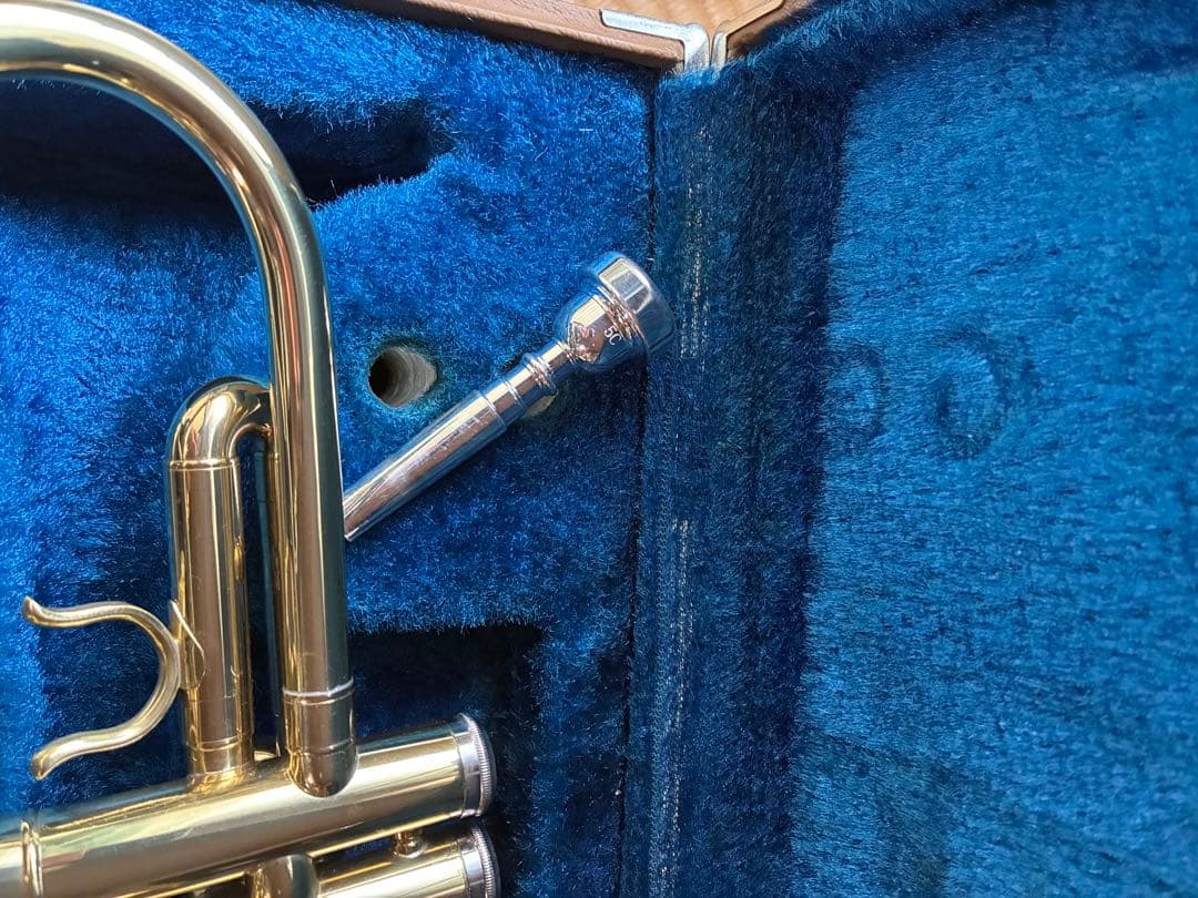 トランペット　本日限定値下げ