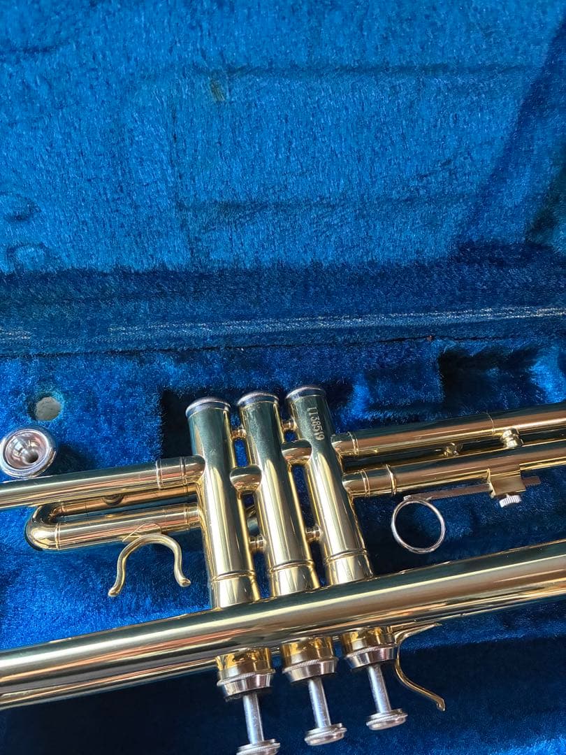 トランペット　本日限定値下げ