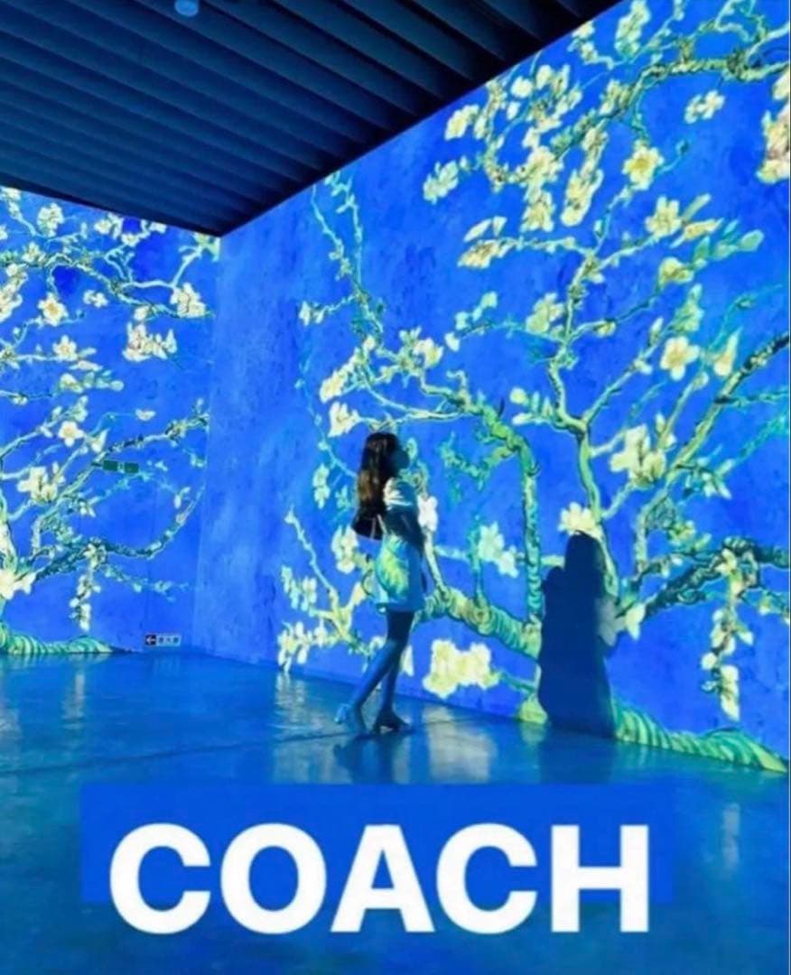 COACHパスキアコラボホワイト白二つ折り財布スナップウォレット.新品未使用品