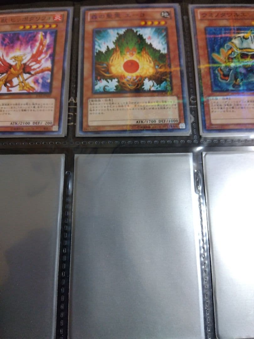 遊戯王　ジャンプフェスタ　ノーパラ　限定　12枚