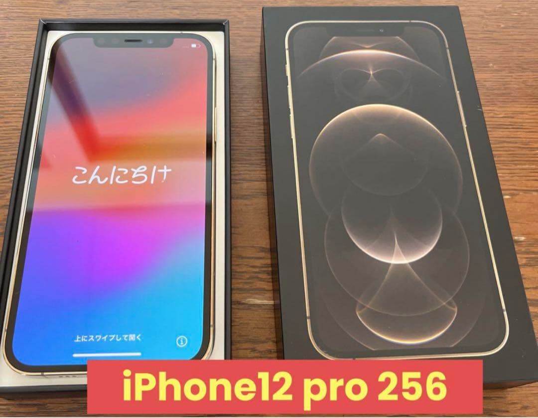 Apple iPhone 12 Pro 本体512GB バッテリー79%