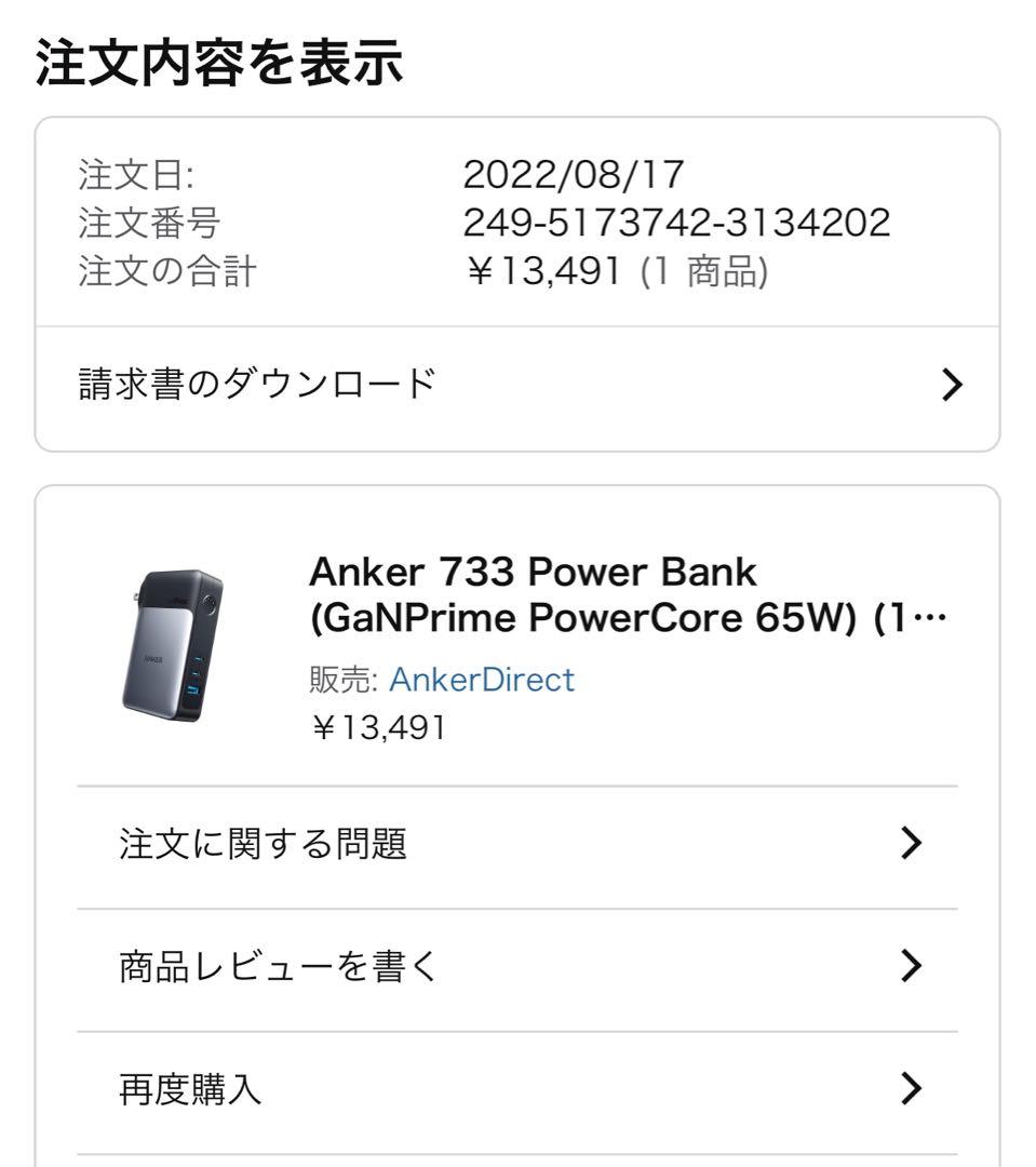 Anker 733 Power Bank 専用キャリングケース付き