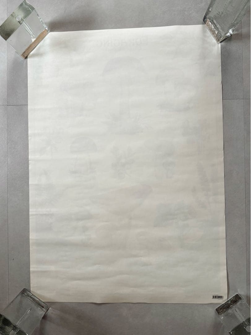 古着 ビンテージ USA きのこ 植物図鑑 サイケデリック ポスター 希少