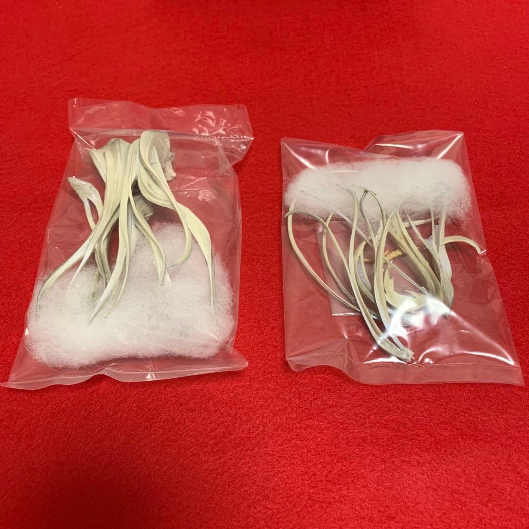 解放少女SIN 大空翔子 ガレージキット 新品・未組み立て 組み立て図付き