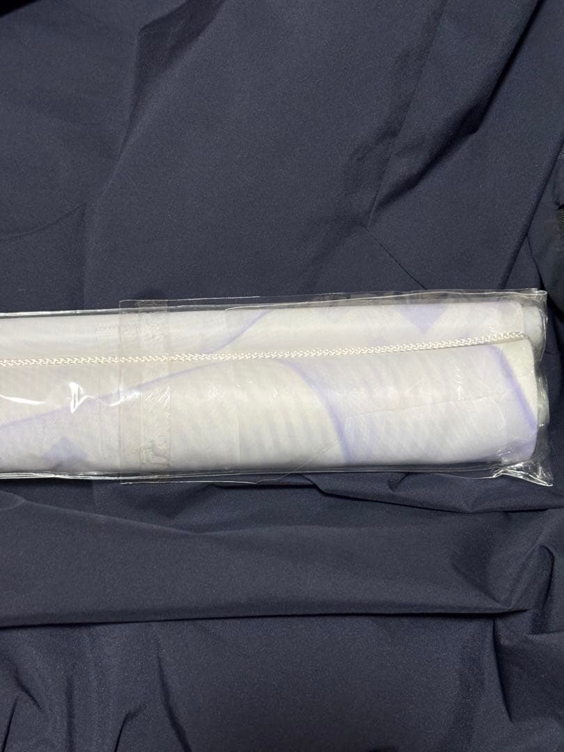 リーセリア 等身大タペストリー 「聖剣学院の魔剣使いEXPO 2020らのすぽ!