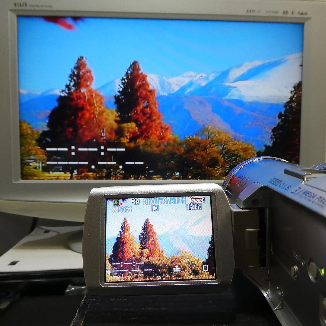 動作良好 パナソニック NV-GS250 MiniDVビデオカメラDVD化に最適