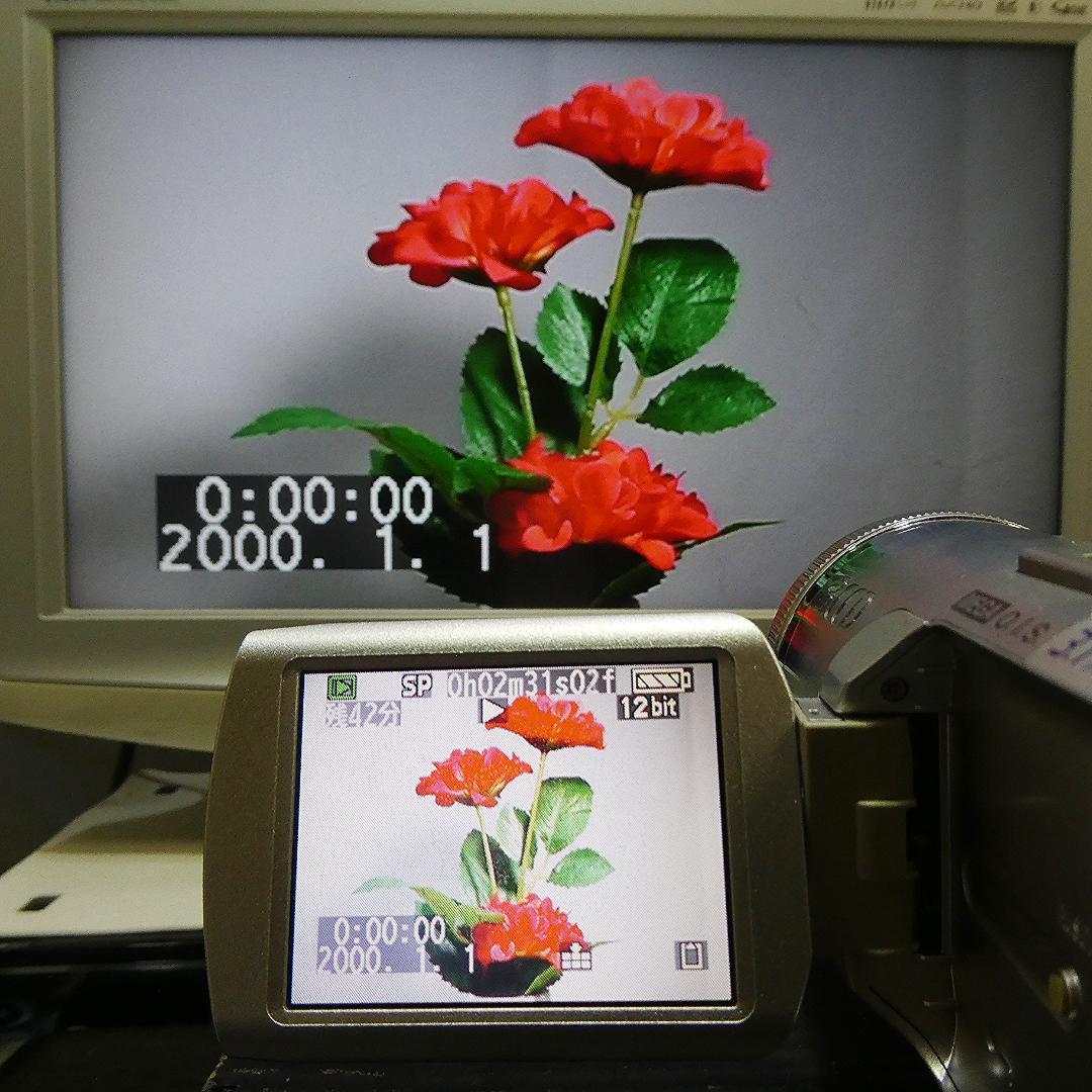 動作良好 パナソニック NV-GS250 MiniDVビデオカメラDVD化に最適