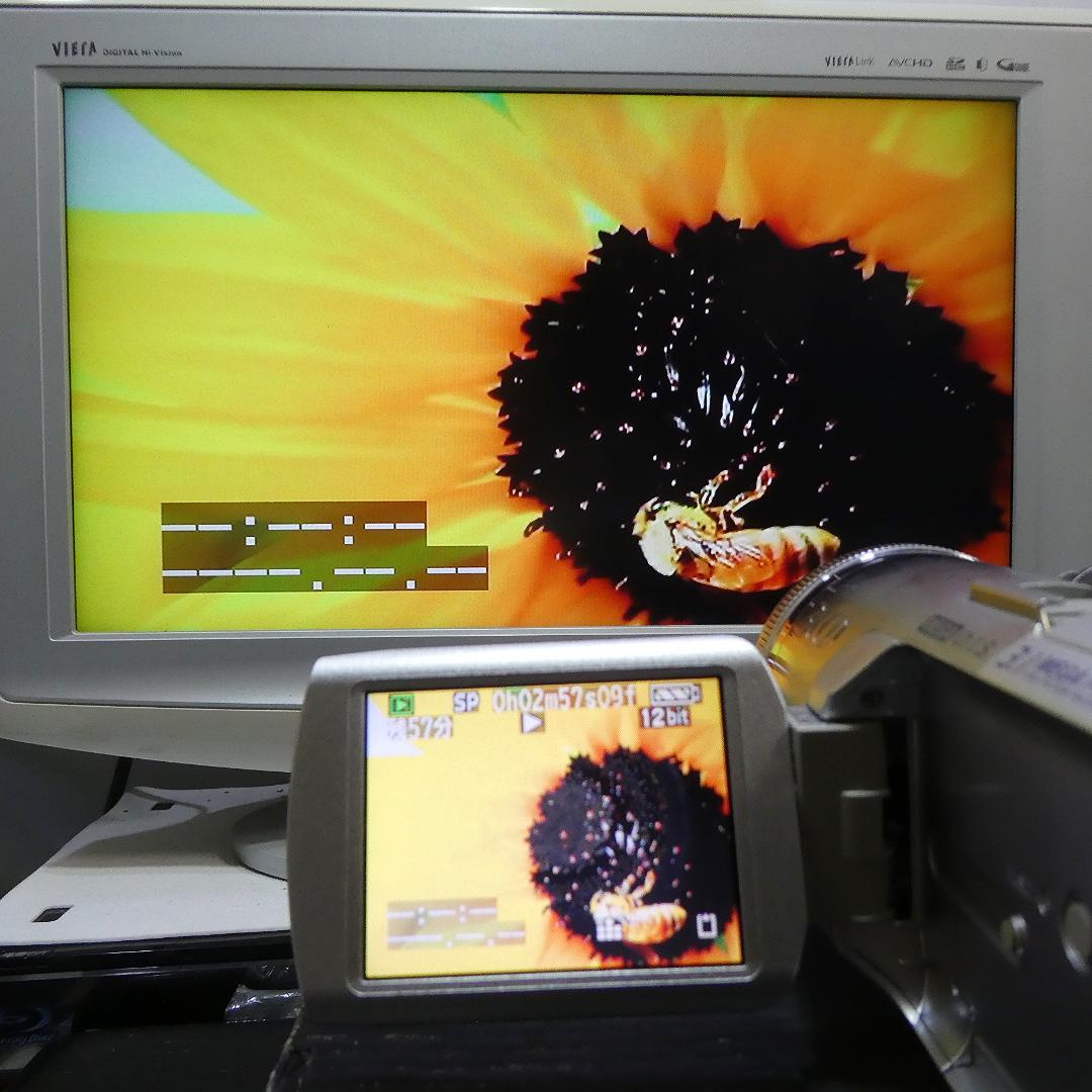 動作良好 パナソニック NV-GS250 MiniDVビデオカメラDVD化に最適