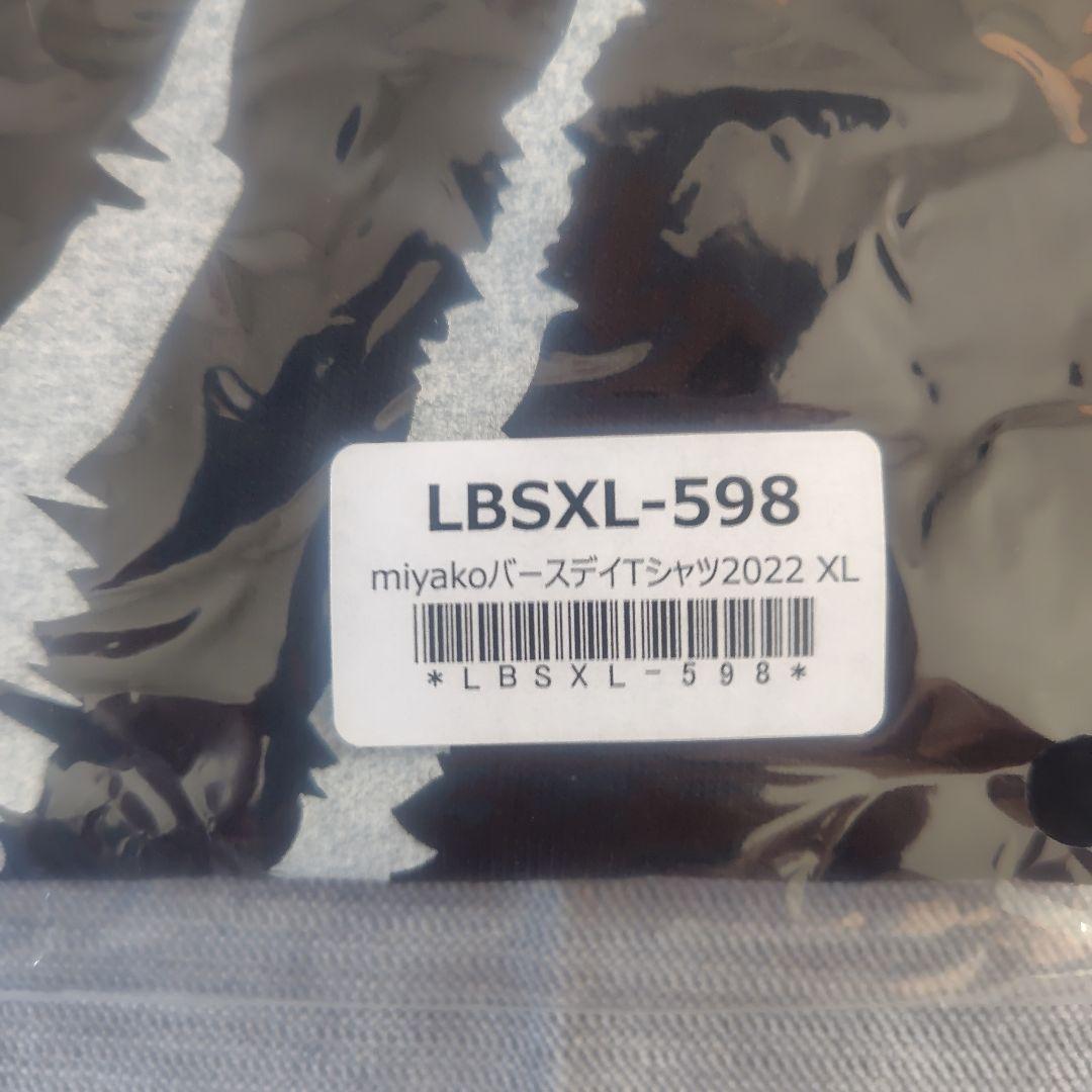 LOVEBITESバースデイTシャツ 3枚セット【XL】