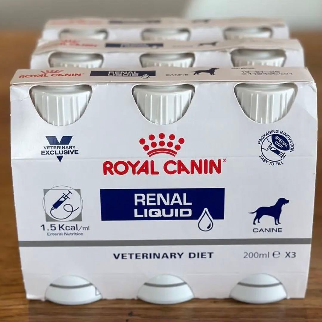 アトリエgg キャミワンピース2 s7