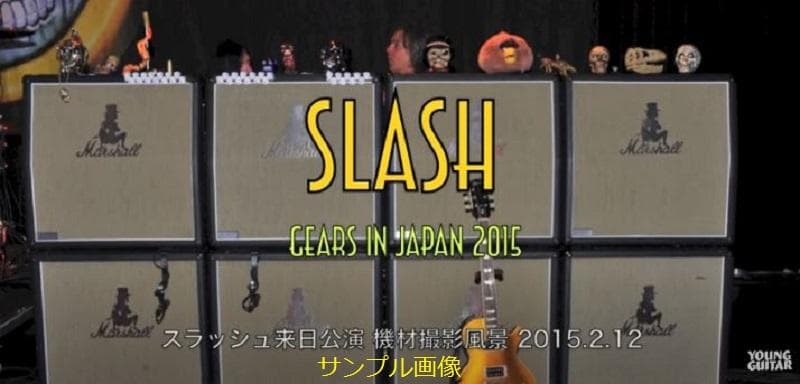 Guns n' Roses Slash スラッシュ 2015年 ギターピック Guns n'
