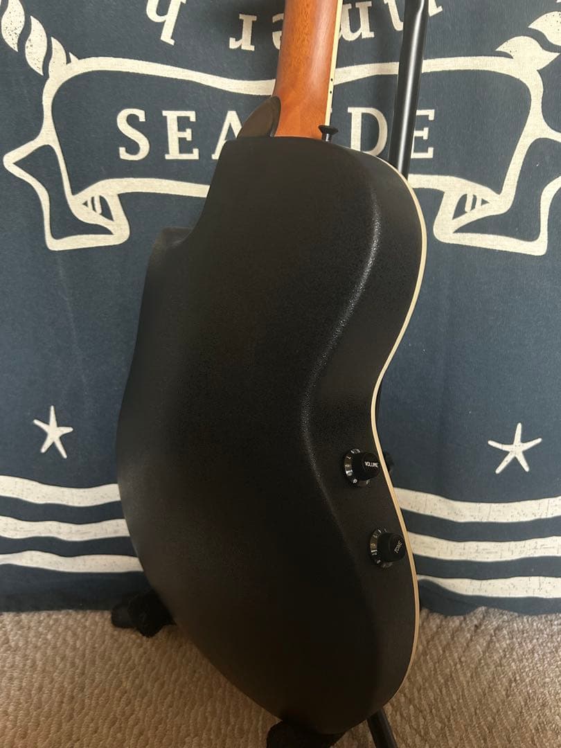 新春特価‼️90年代❣️ProMartinトラベルsizeエレアコ　SEA350RS