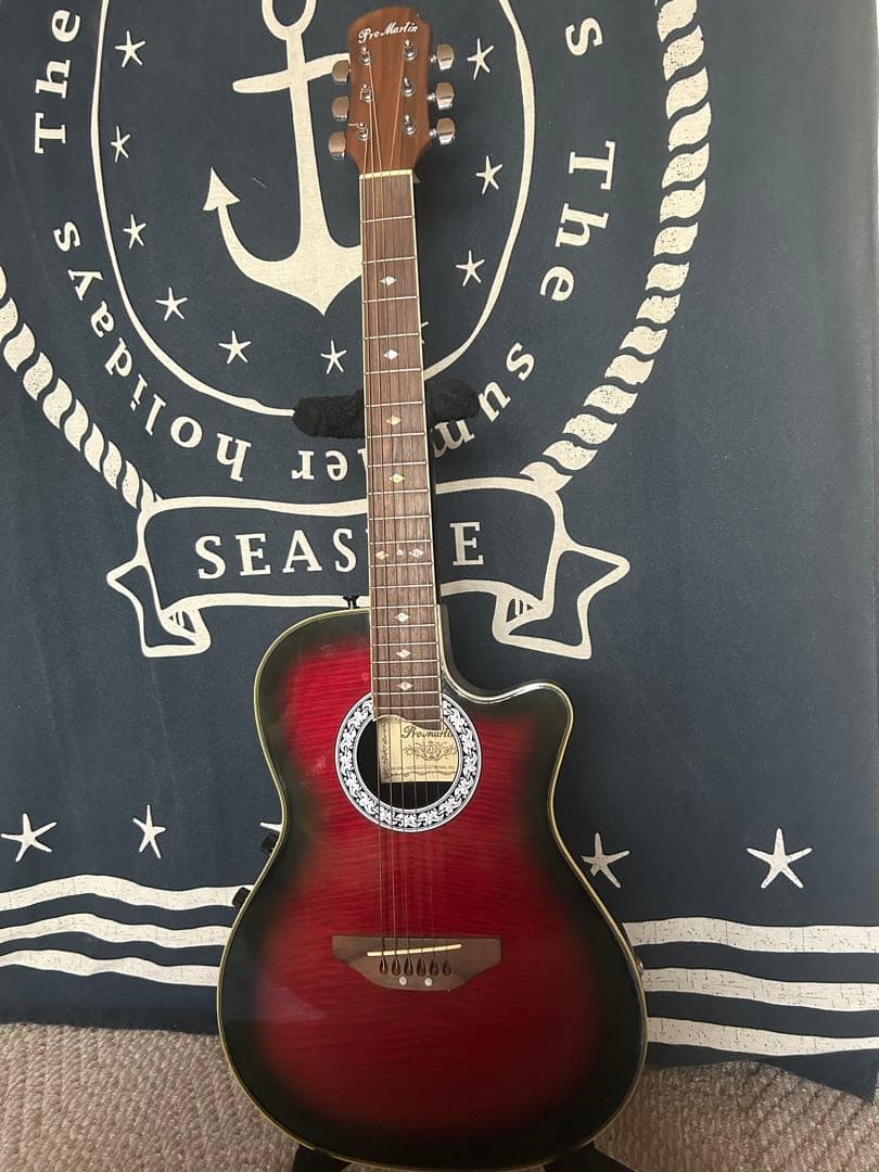 新春特価‼️90年代❣️ProMartinトラベルsizeエレアコ　SEA350RS