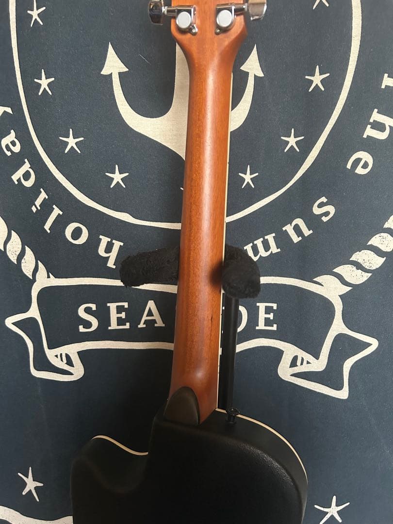 新春特価‼️90年代❣️ProMartinトラベルsizeエレアコ　SEA350RS