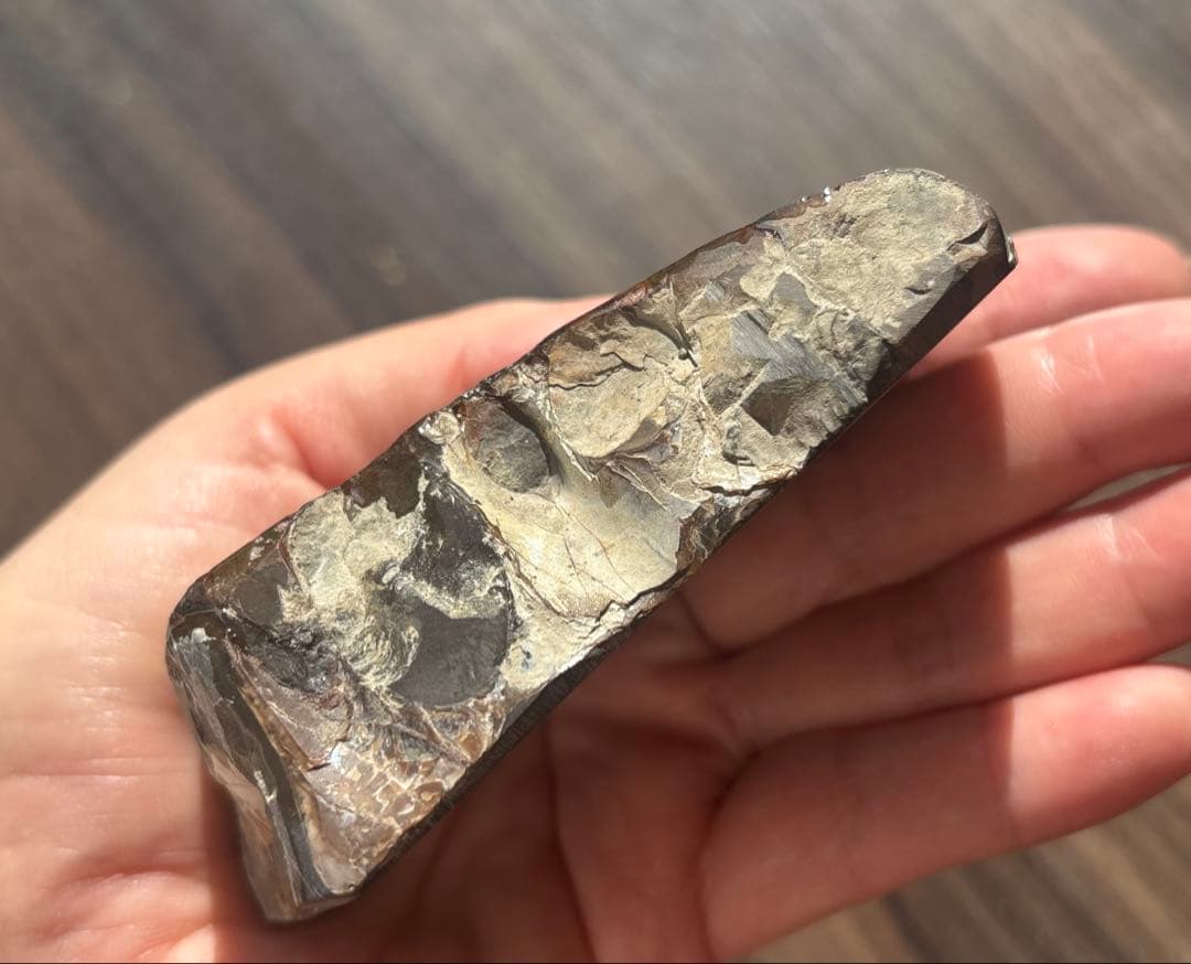 巨大！希少！カナダ産 アンモライト 樹脂スタビライズ加工 天然宝石