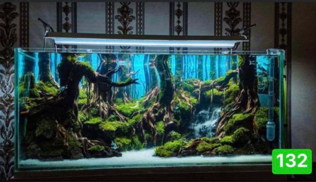 水槽用流木 ブランチウッド 。流木アクアリウム パルダリウム