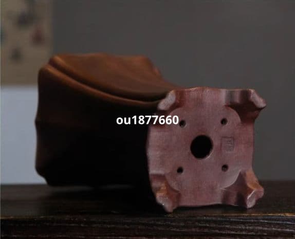 美人腰蘭鉢 多肉植物鉢 紫砂鉢 盆栽鉢 植木鉢 小品盆栽鉢 公式 大品盆栽鉢