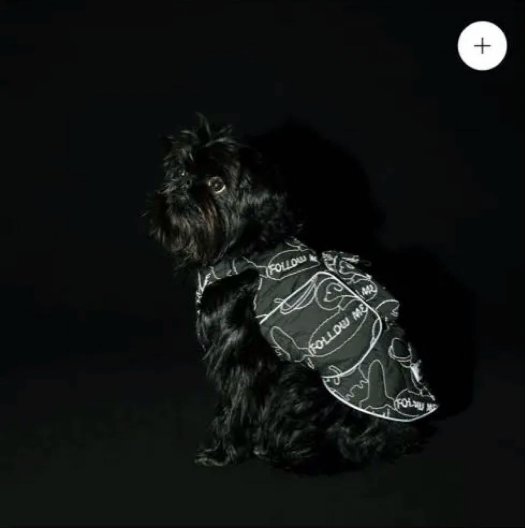 アルファアイコン AIR LINER エアライナー COSMIC 1L ポケット - メルカリ