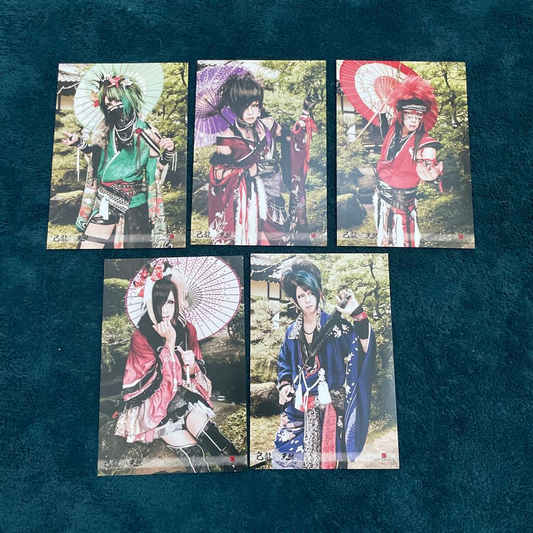 己龍 過去アー写 セット