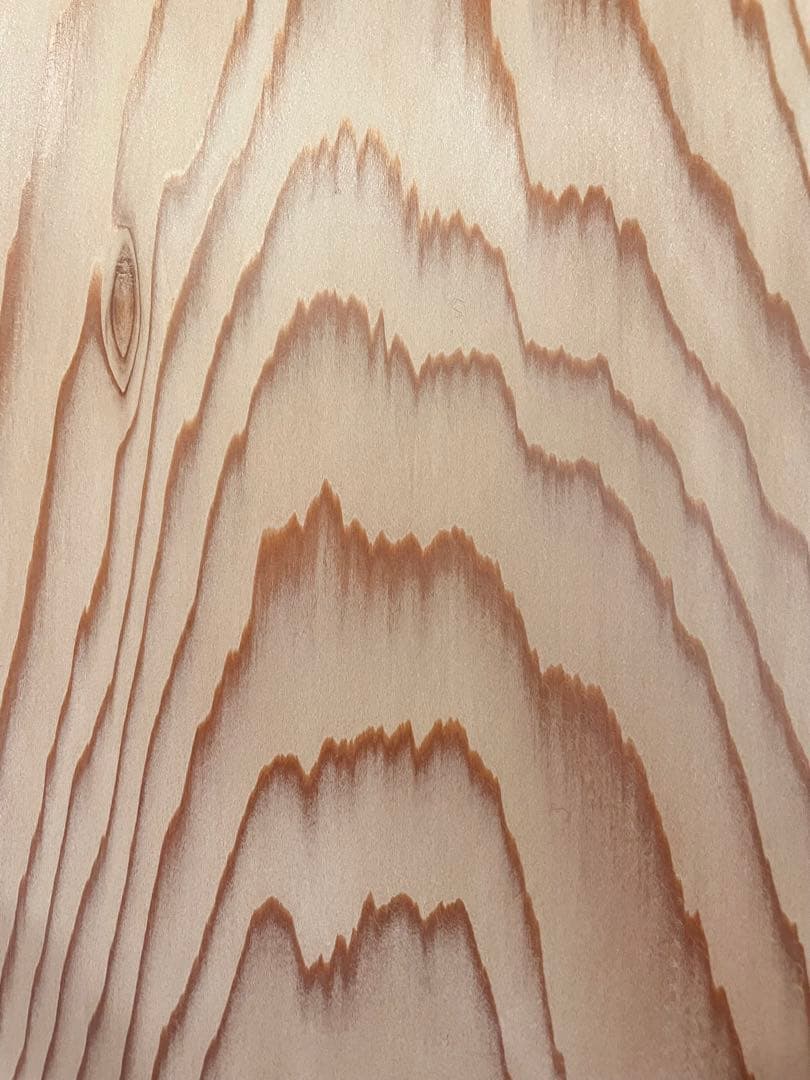 角蛤板 茶道 懐石道具 美術品 杉材 伝統工芸品 未使用